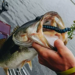 BioSpawn ExoRibbon 13 BioSpawn ExoRibbon -Baits Sales 02 23 22 chad smith exoribbon14