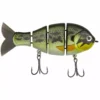 Catch Co. Mike Bucca's Baby Bull Gill 2 Catch Co. Mike Bucca's Baby Bull Gill -Baits Sales 10 01 cco 10001e 1