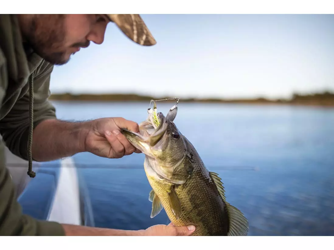 Googan Squad Zinger 8 Googan Squad Zinger - Image 6