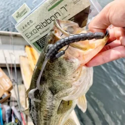 BioSpawn ExoRibbon 10 BioSpawn ExoRibbon -Baits Sales exoribbon package fish 1