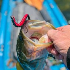 BioSpawn ExoRibbon 11 BioSpawn ExoRibbon -Baits Sales fullsizerender