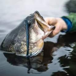 Googan Baits Blazin' Worm 9 Googan Baits Blazin' Worm -Baits Sales lifestyle blazinworm googanbaits bt6a0442