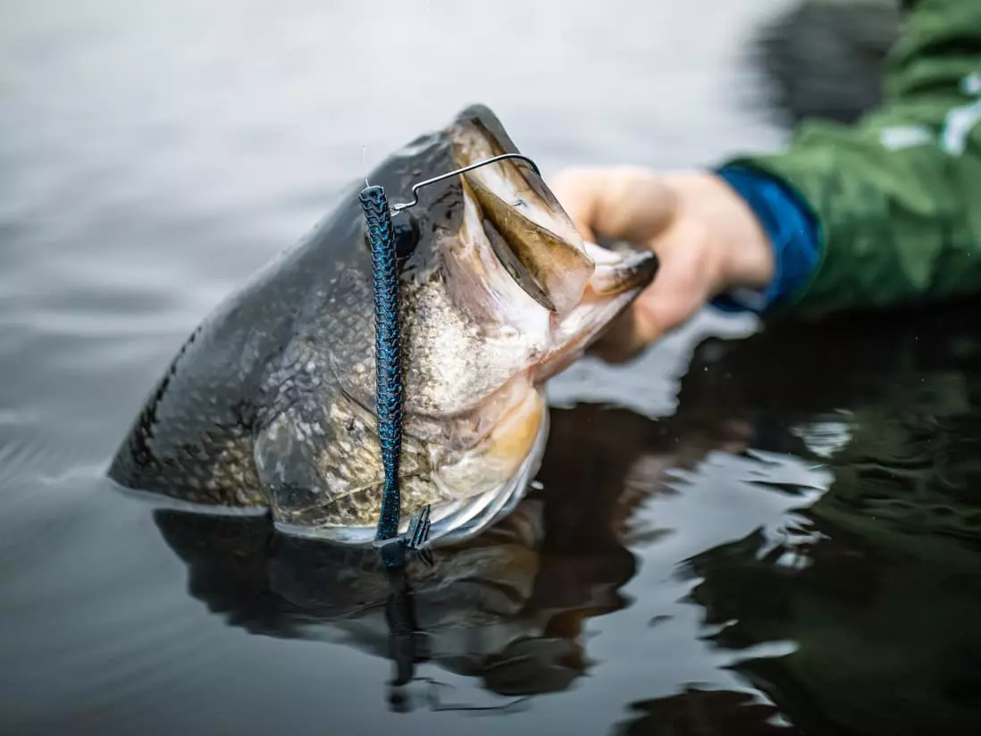 Googan Baits Blazin' Worm 6 Googan Baits Blazin' Worm - Image 4