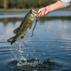 Googan Baits Blazin' Worm 8 Googan Baits Blazin' Worm -Baits Sales lifestyle blazinworm googanbaits bt6a4961