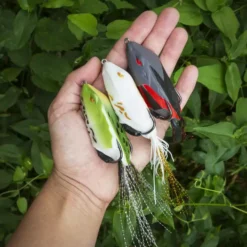 10,000 Fish Tataki Frog -Baits Sales lifestyle tatakifrog 10k 1