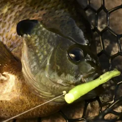 Z-Man Tiny Ticklerz 14 Z-Man Tiny Ticklerz -Baits Sales lifestyle tinyticklerz zman closefish 1