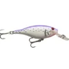Vexan LIL-Super Cisco 1 Vexan LIL-Super Cisco -Baits Sales lil cisco kitty kat