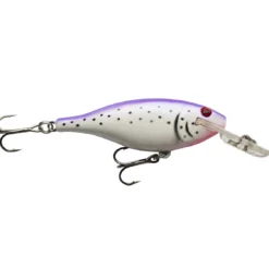 Vexan LIL-Super Cisco