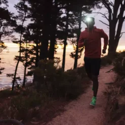 Baits Sales -Baits Sales night scout hero 01