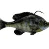 Savage Gear Pulse Tail RTF Bluegill 2 Savage Gear Pulse Tail RTF Bluegill -Baits Sales pulsetail rtf bluegill ghostgill 1