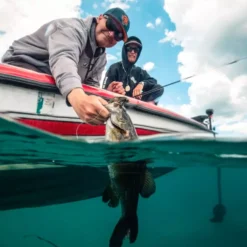 Catch Co. Tight Rope Baby Firework Super Jig -Baits Sales tight rope jigs fish full 2