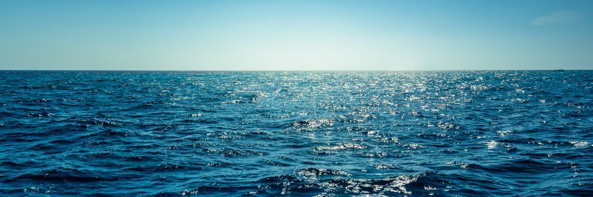 Baits Sales -Baits Sales AdobeStock 236122432 1200x400 1